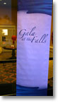 Gala at the Falls 2010 banner